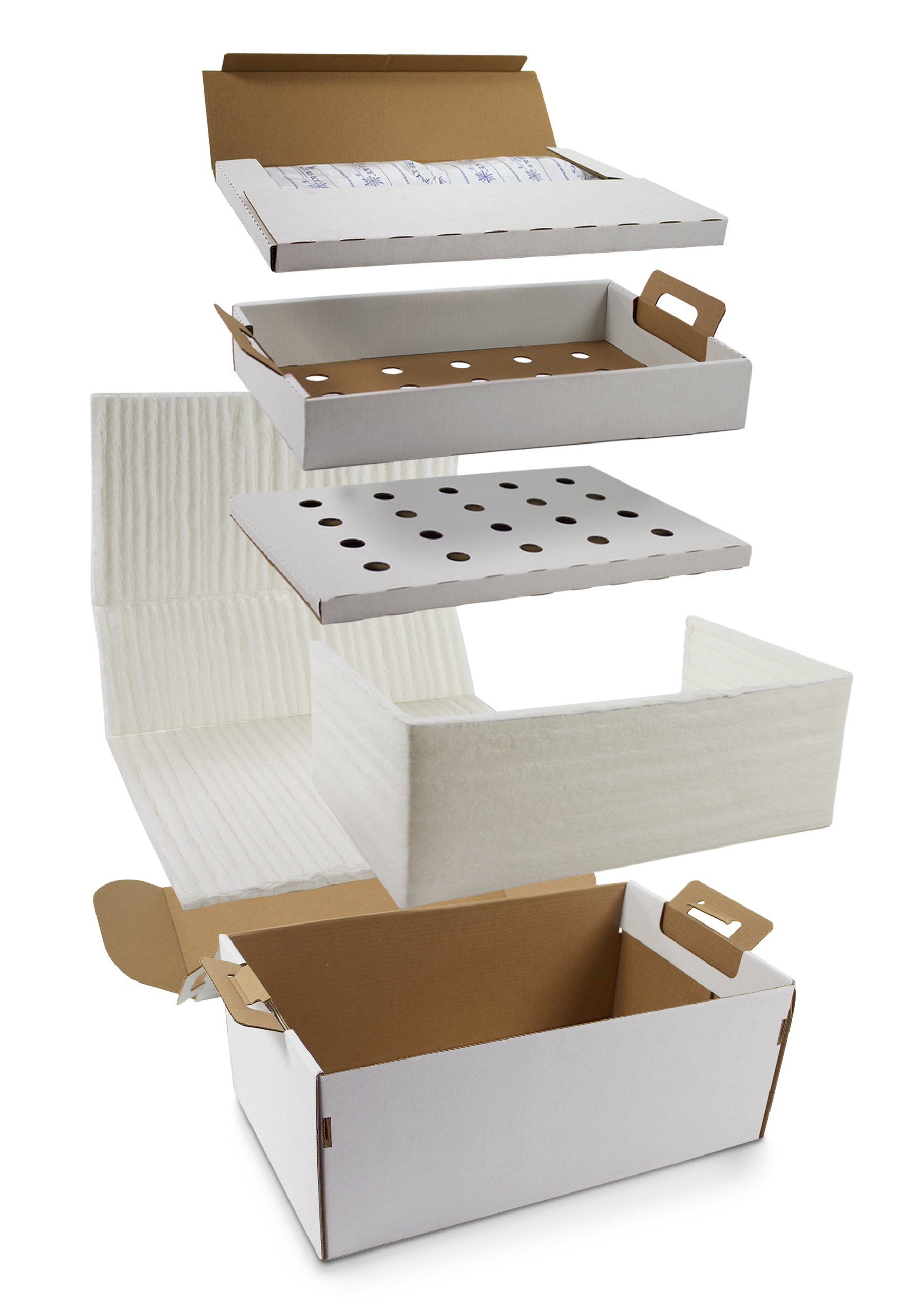 Catering Box | Nature-Pack™