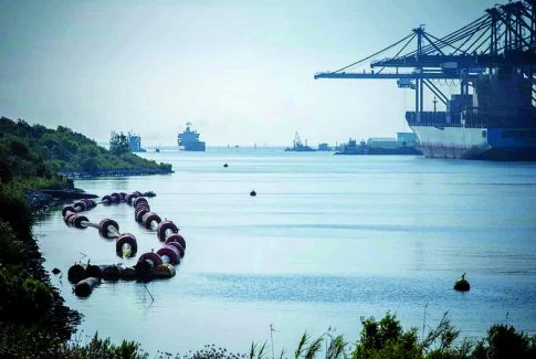 China’s ban on single-use plastics and its global impact on sustainable packaging and waste reduction