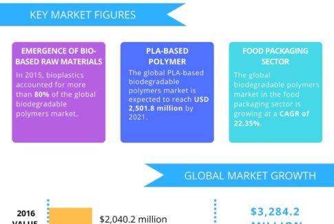 Three factors driving the global biodegradable polymers market | Greener Package